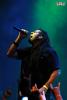 Ill Nino