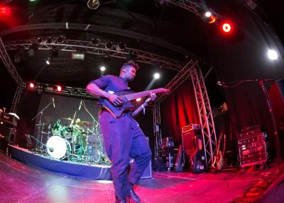 Animals as Leaders