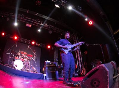 Animals as Leaders