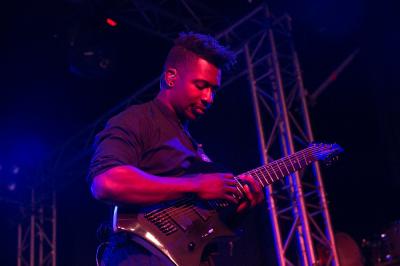 Animals as Leaders