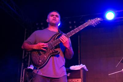 Animals as Leaders