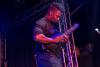 Animals as Leaders