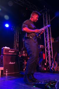 Animals as Leaders