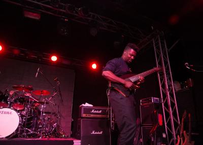 Animals as Leaders