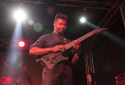 Animals as Leaders