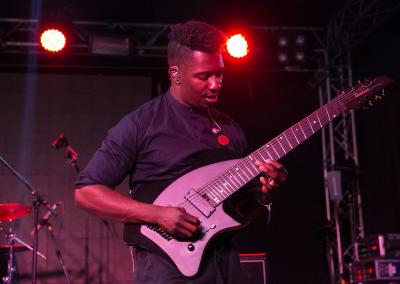 Animals as Leaders